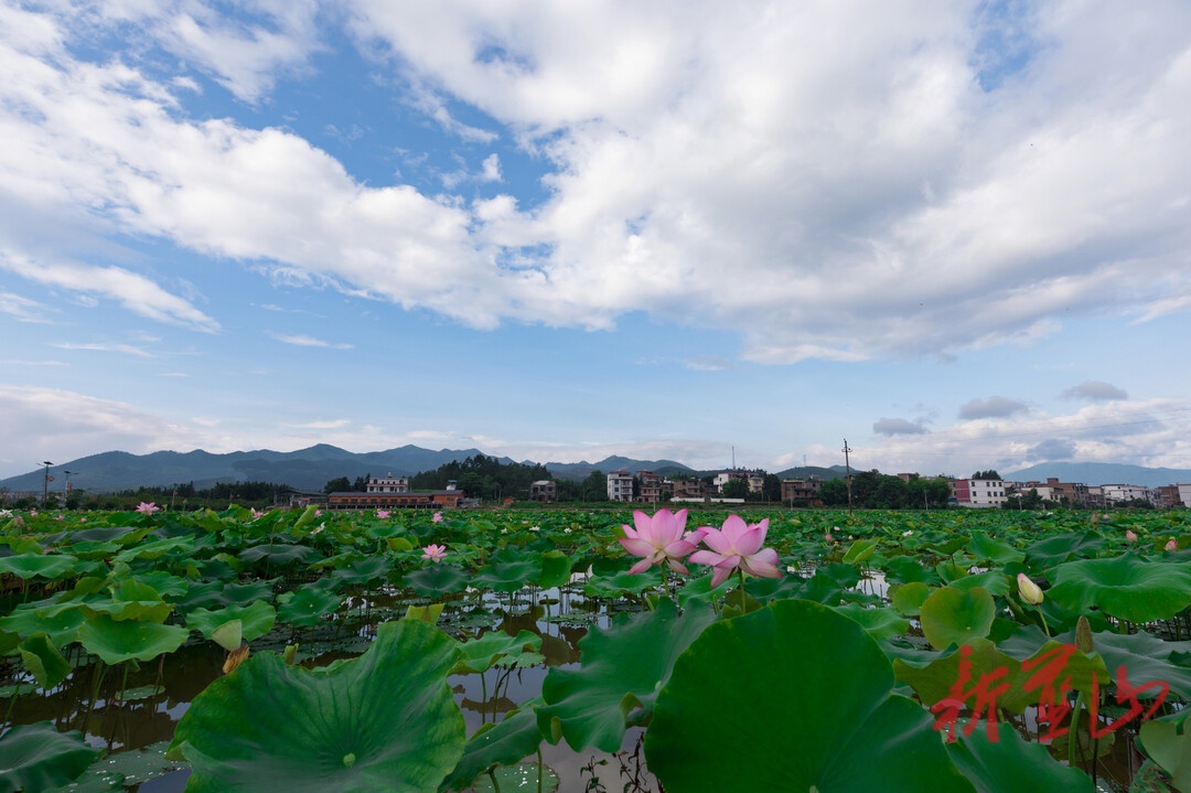 永州蓝山蓝山县这些村被评为省级美丽乡村示范村