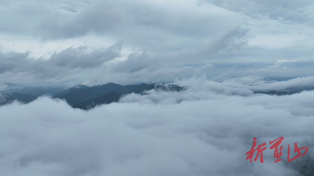 美丽蓝山：雨后云海 漫遍山峦