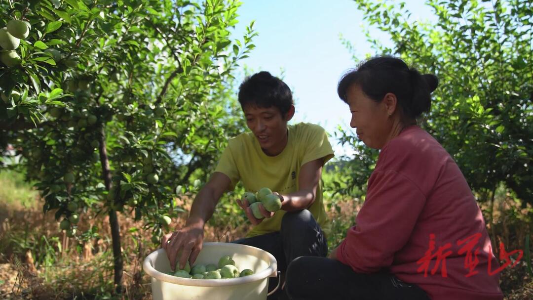 蓝山县培育新型职业农民 打造致富产业代言人