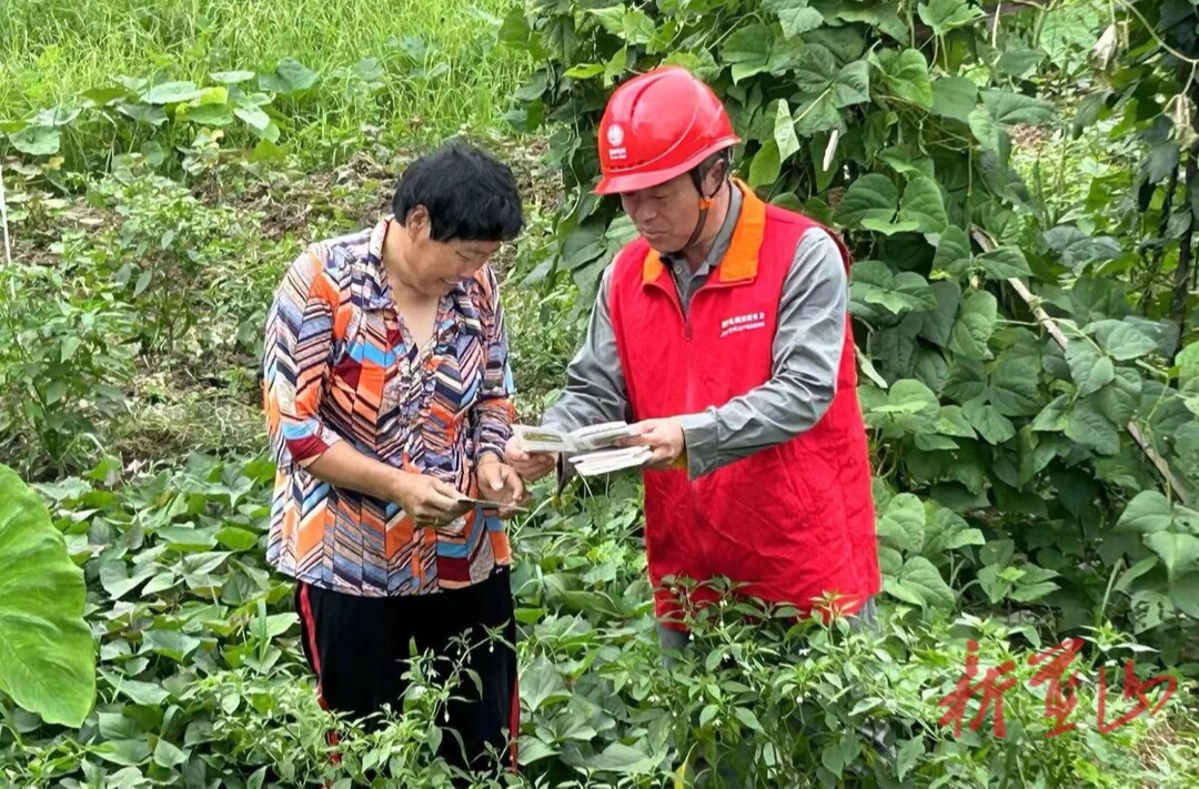 國網(wǎng)藍山縣供電公司：防山火于未“燃” 筑牢電網(wǎng)“安全墻”