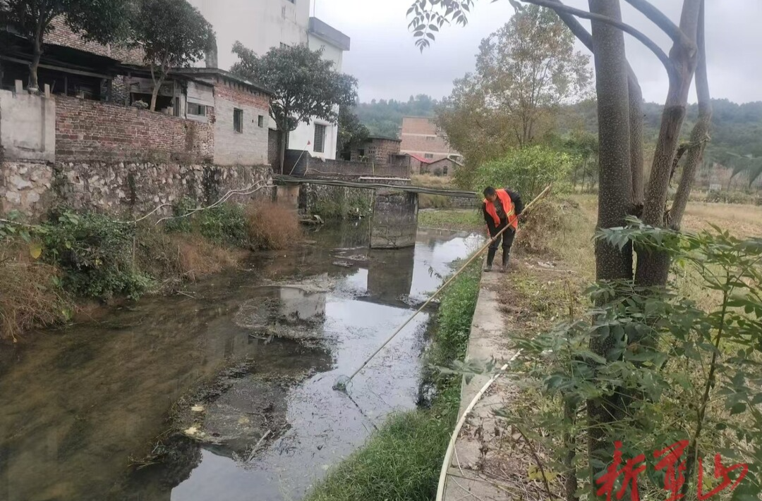 祠堂圩镇：共建生态河道 共享美好生活