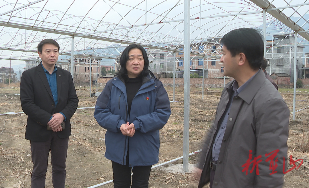 邓群调研粮食生产、乡村振兴及“和美湘村”建设等工作