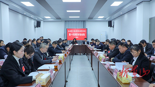 【聚焦两会】蓝山县人大代表继续参加分团讨论