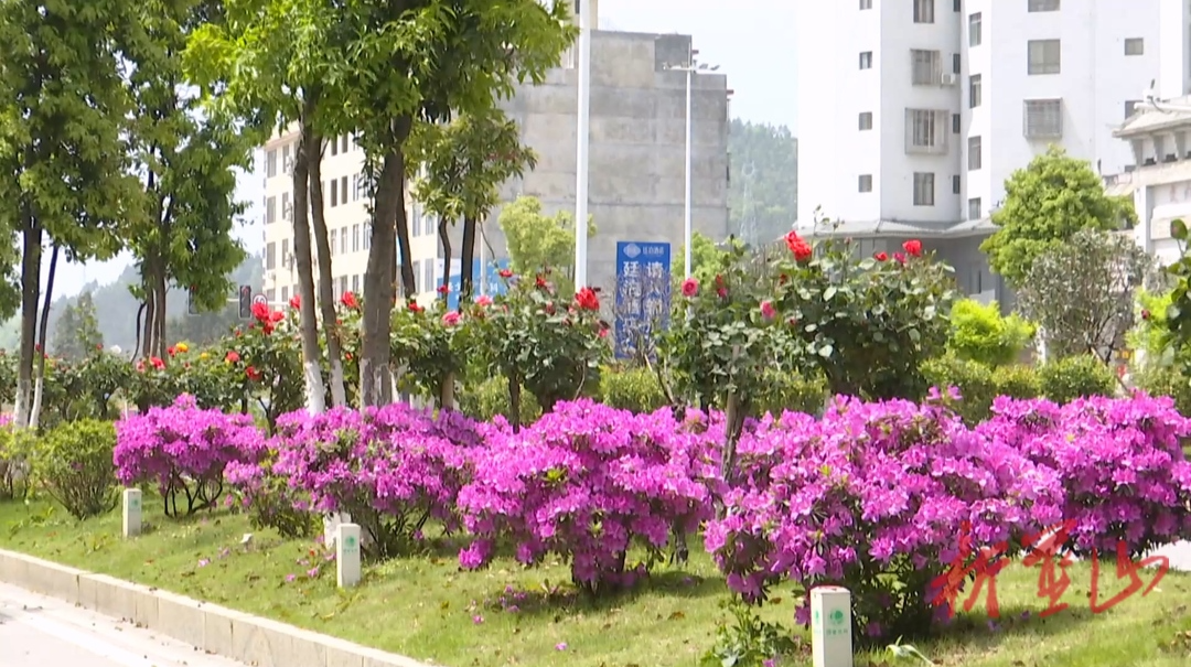 美丽蓝山：百花盛开春意浓 一路一景皆成画