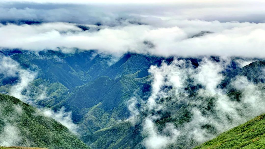 五一假期来云冰山，看云海翻涌映山红烂漫​