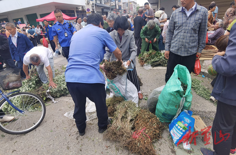 蓝山：端午期间不打烊 规范药草交易保畅通