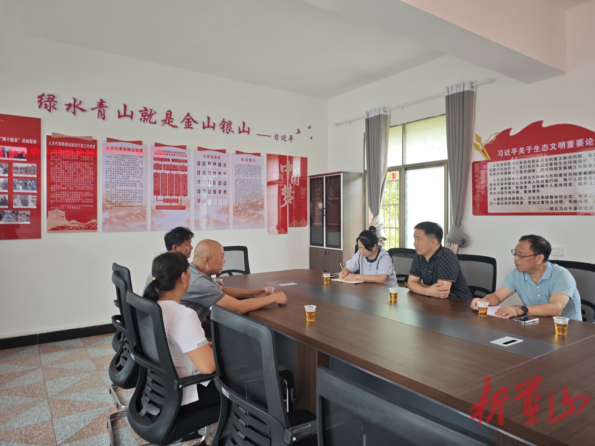 蓝山：雷纯安到代表联络站接待基层代表和群众