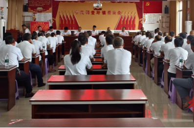 祠堂圩鎮(zhèn)召開黨員大會
