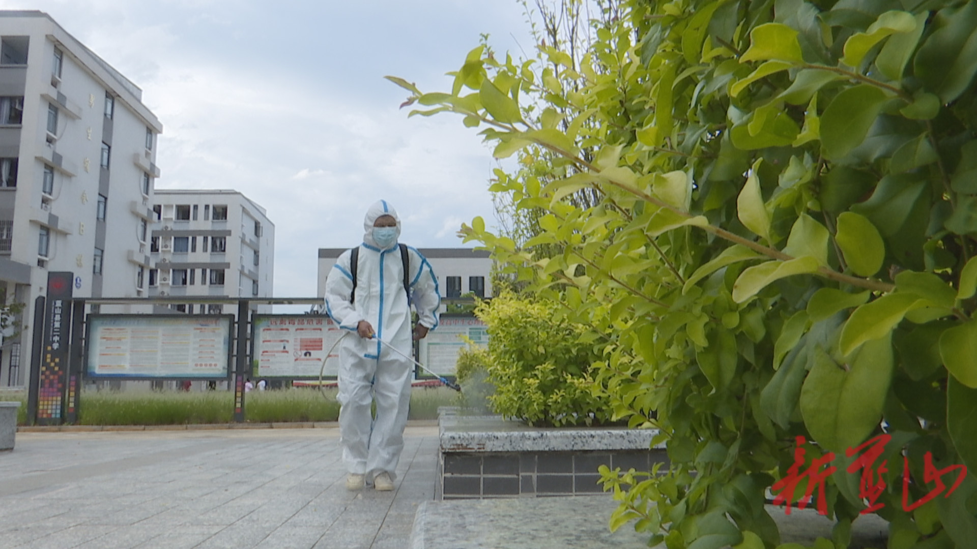 藍(lán)山縣全面消殺迎開學(xué) 筑牢校園安全屏障