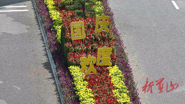 蓝山县缤纷花卉点亮节日氛围