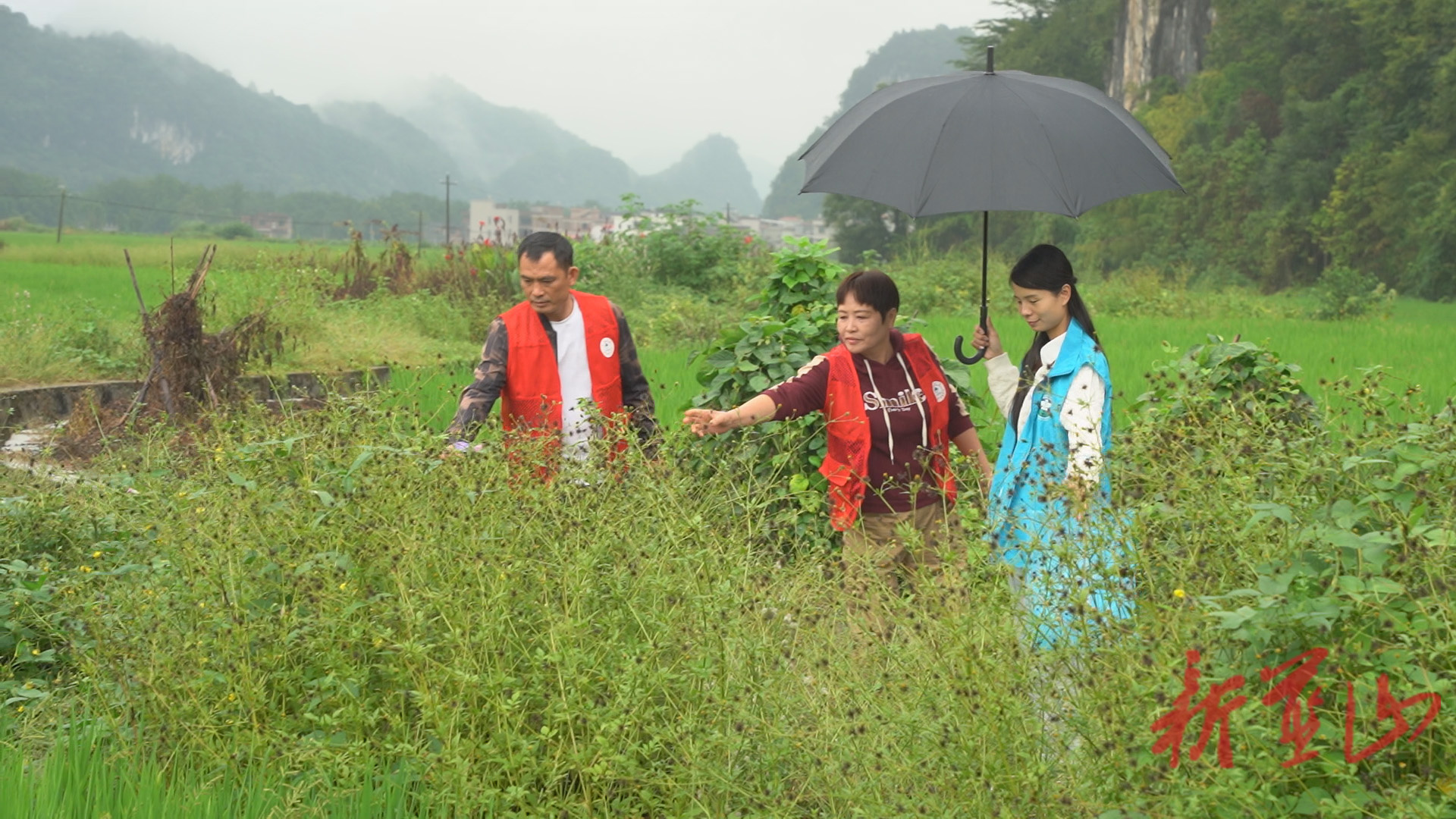 祠堂圩镇：禁毒宣传不停歇 巡查踏查守净土
