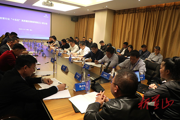 皮革行业“十五五”高质量发展指导意见研讨会在蓝山县召开
