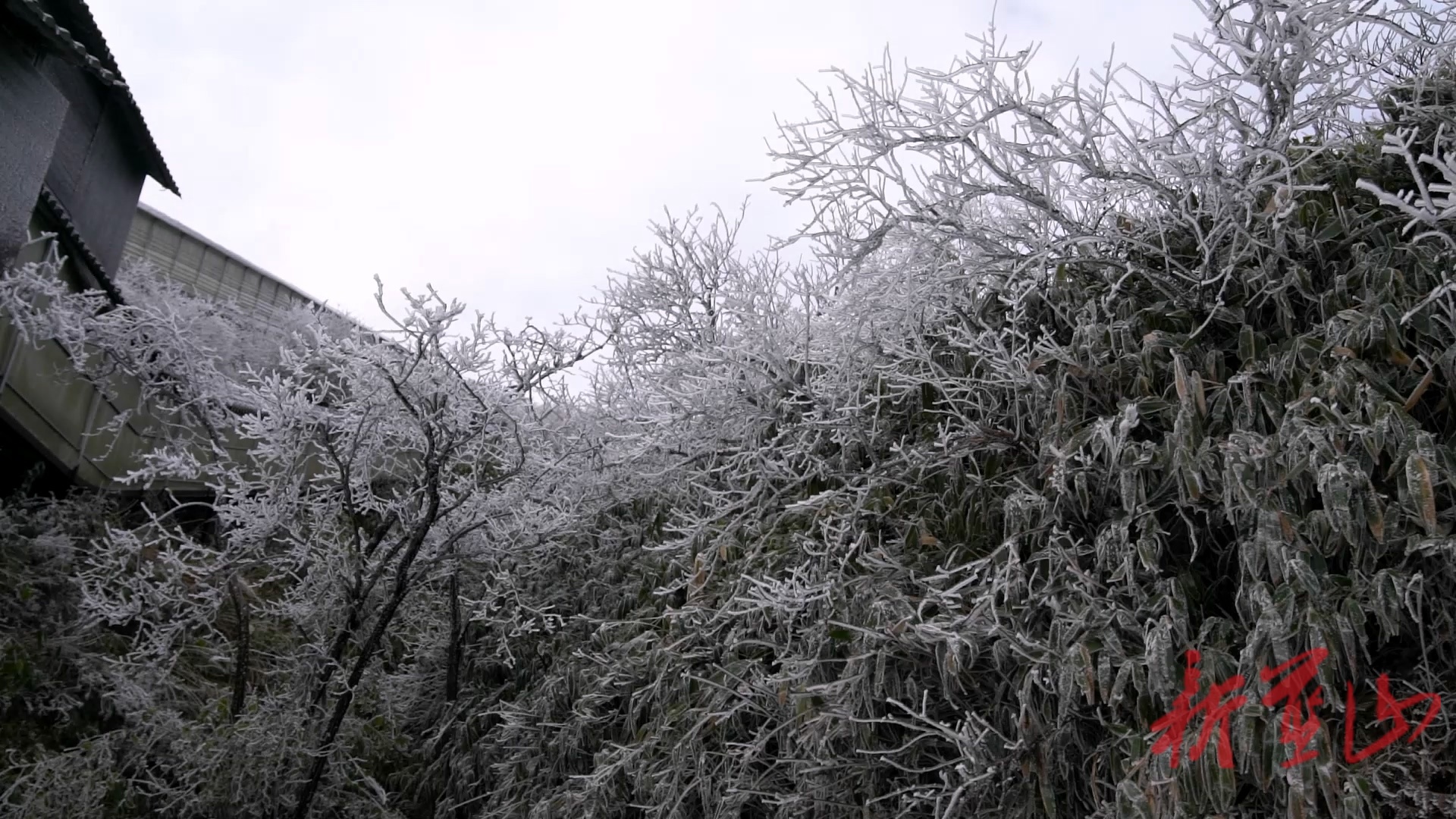 蓝山县云冰山：迎来今冬首场冰挂美景