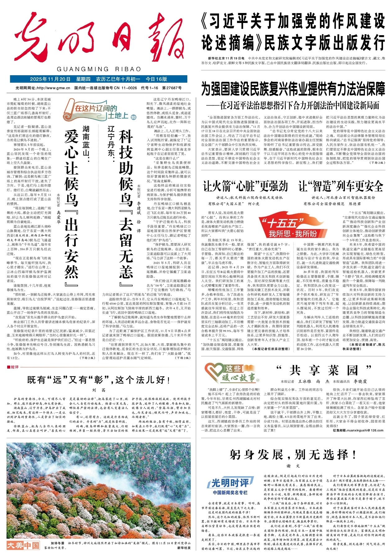 【在这片辽阔的土地上93】湖南蓝山：爱心让候鸟“出行安然”