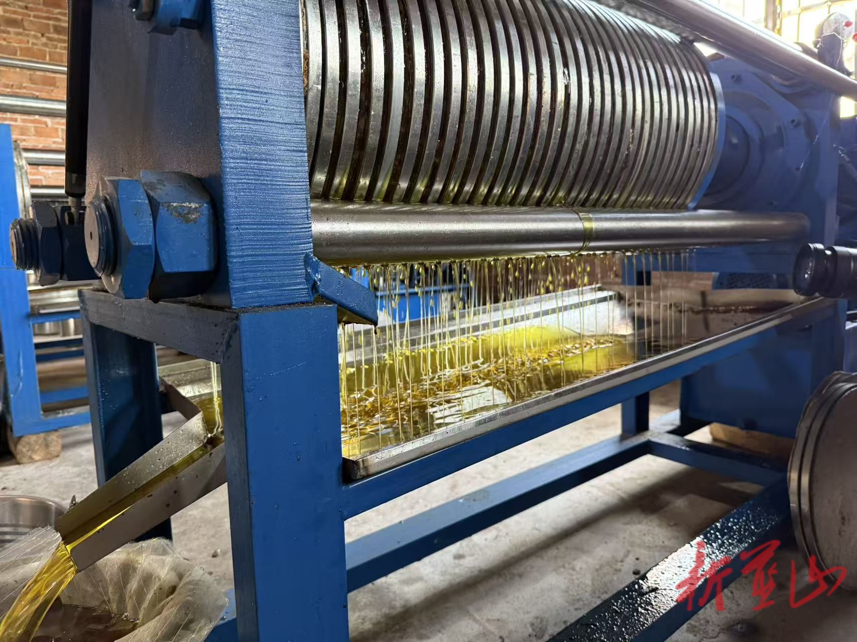 新圩镇新圩村：古法榨油遇上现代科技  “黄金油”香飘振兴路