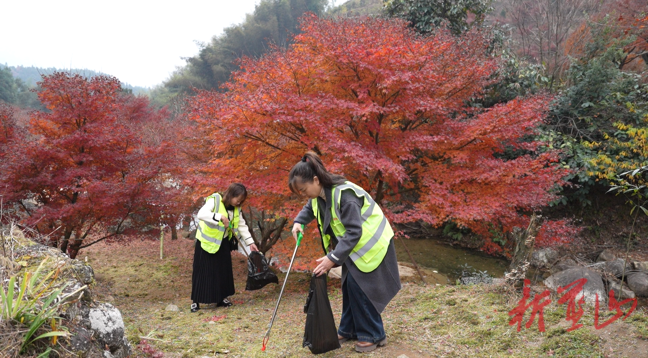蓝山县政协组织开展“志愿服务，委员在行动”公益活动