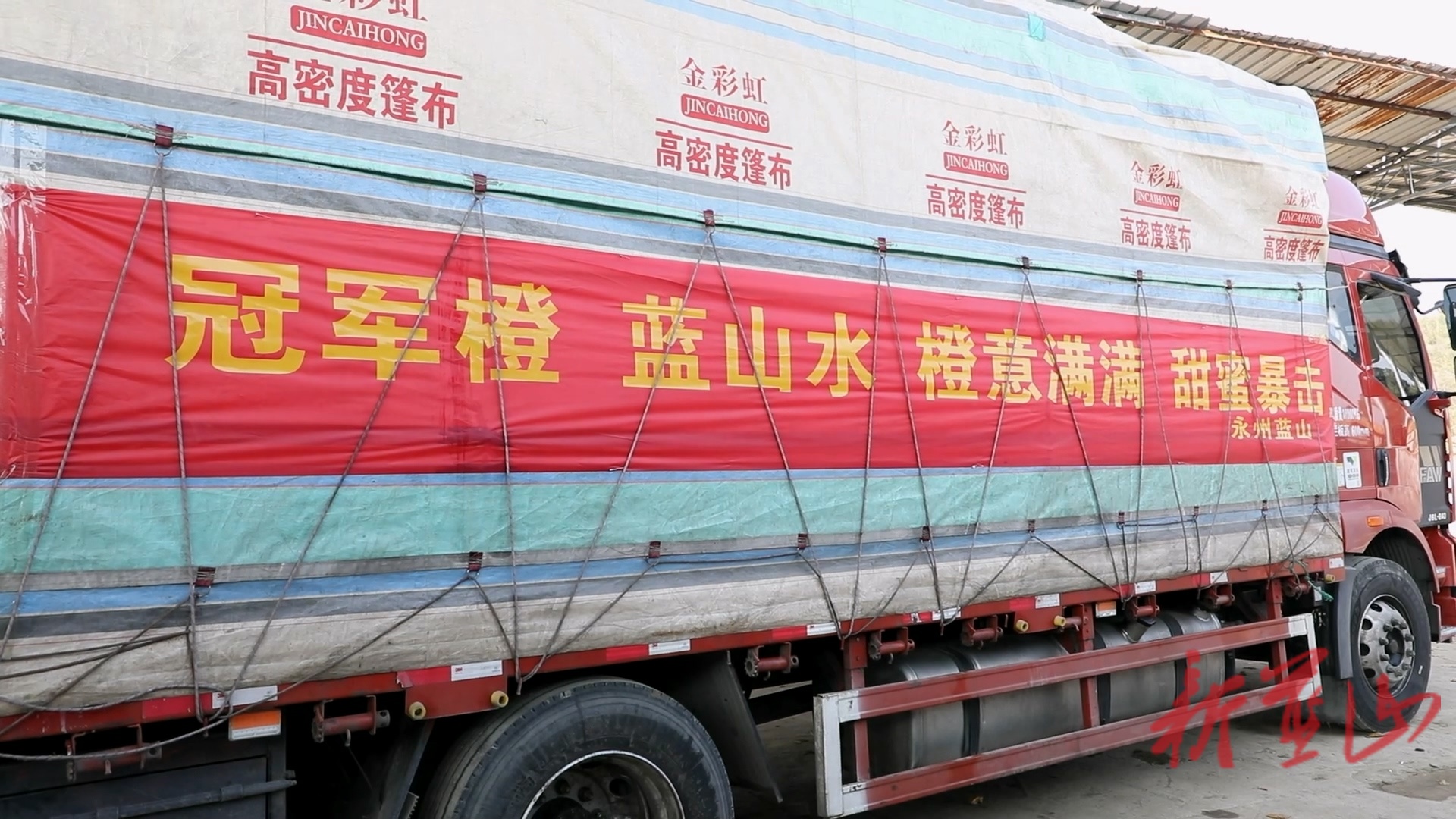 新闻特写：万斤脐橙载厚谊   两地携手谱新篇