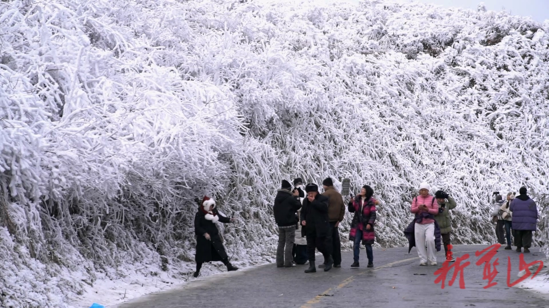 蓝山县云冰山：雾凇冰挂醉游人 岭南冬日景正浓