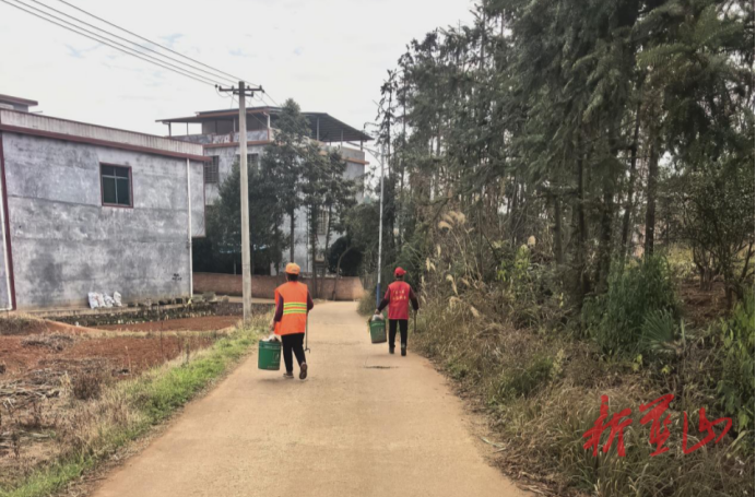 【新春走基层】太平圩镇：各村齐动手 洁净迎新春