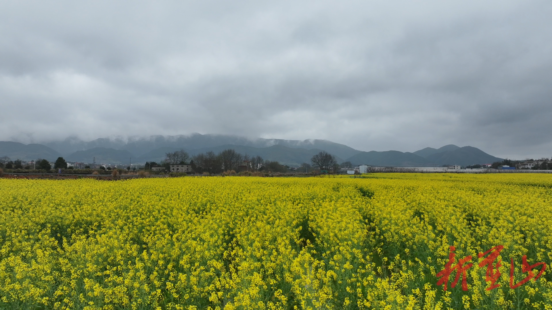 蓝山县塔峰镇六七甲村：初春云雾绕青山 油菜花香醉田园
