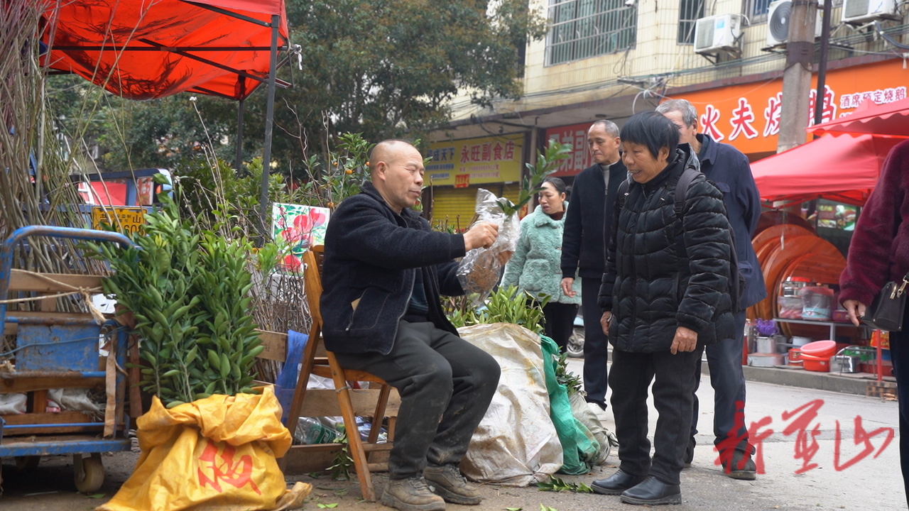 蓝山县春来花木俏  购销正当时
