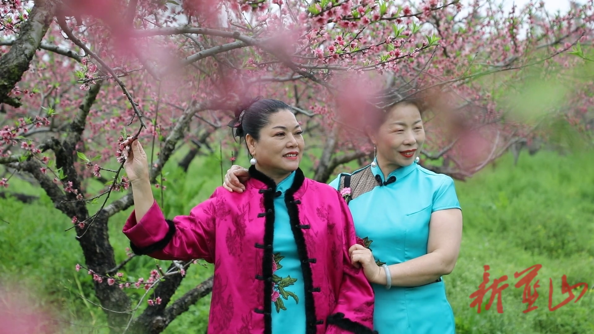 蓝山县东江桃园：桃花烂漫迎客来 春日踏青正当时