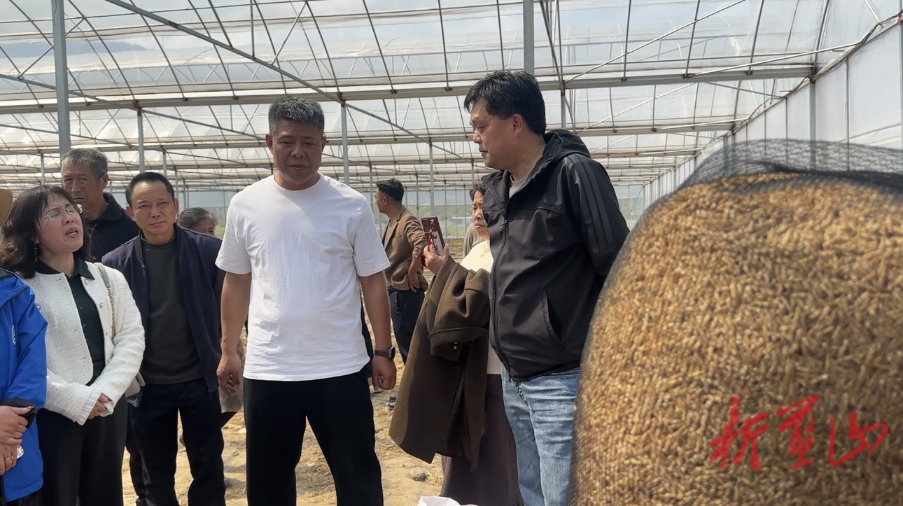 蓝山县送技下乡到田间 解锁粮食增产“密码”
