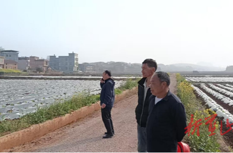 太平圩镇：走进田间察农情 精准服务促春耕