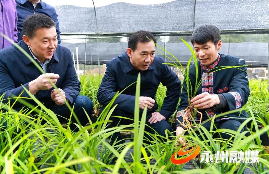 朱洪武在江永县、蓝山县调研