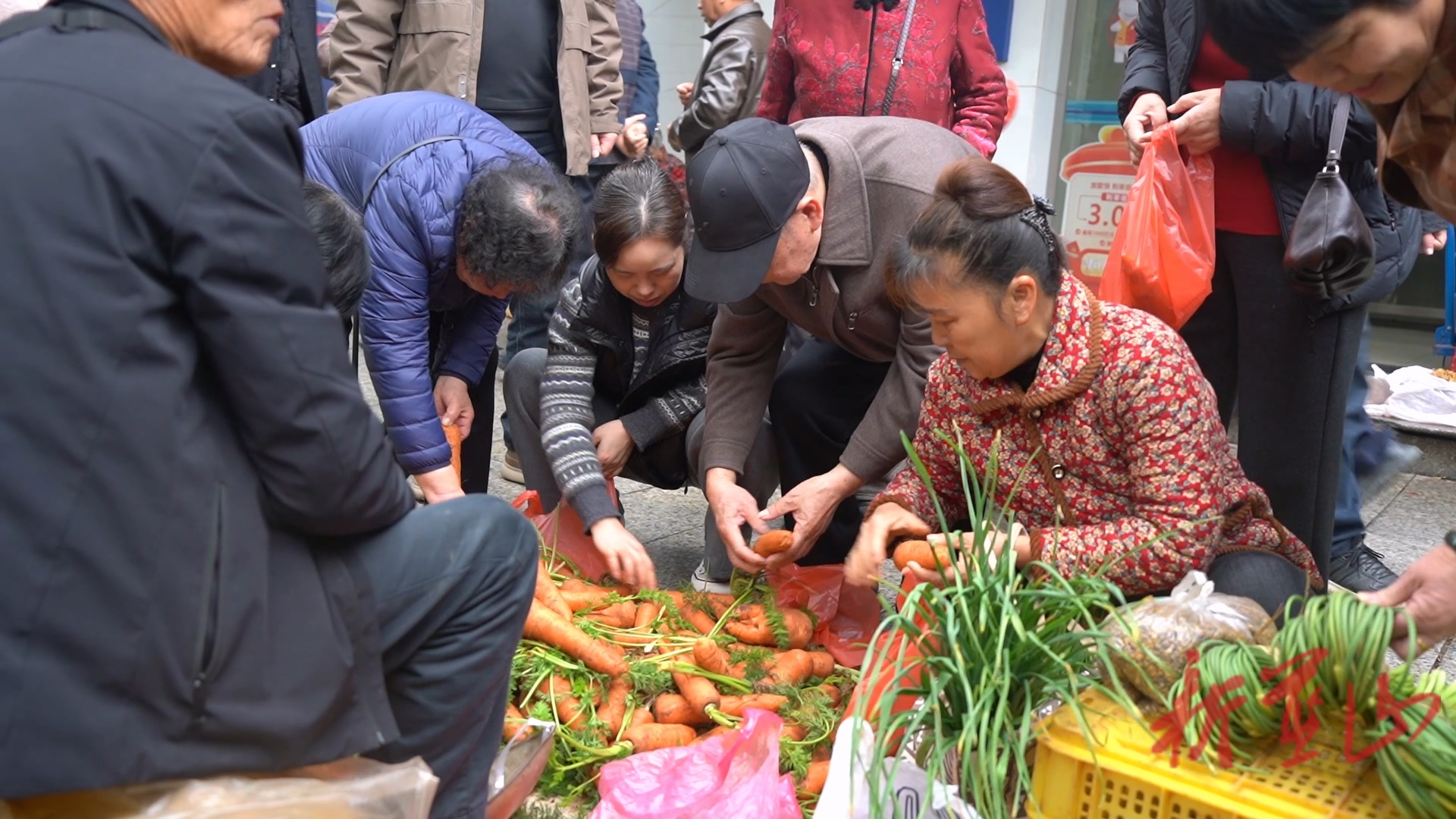蓝山县春菜抢“鲜”上市 餐桌迎来“春天的味道”