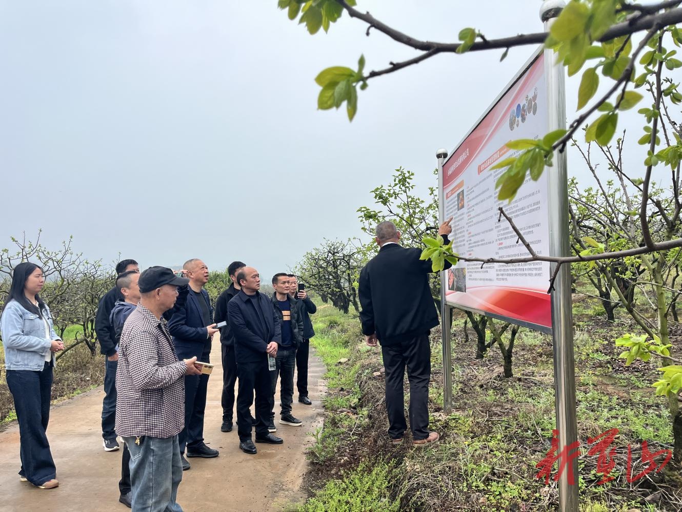 蓝山：代表联动外出“取经”，问计特色产业振兴路