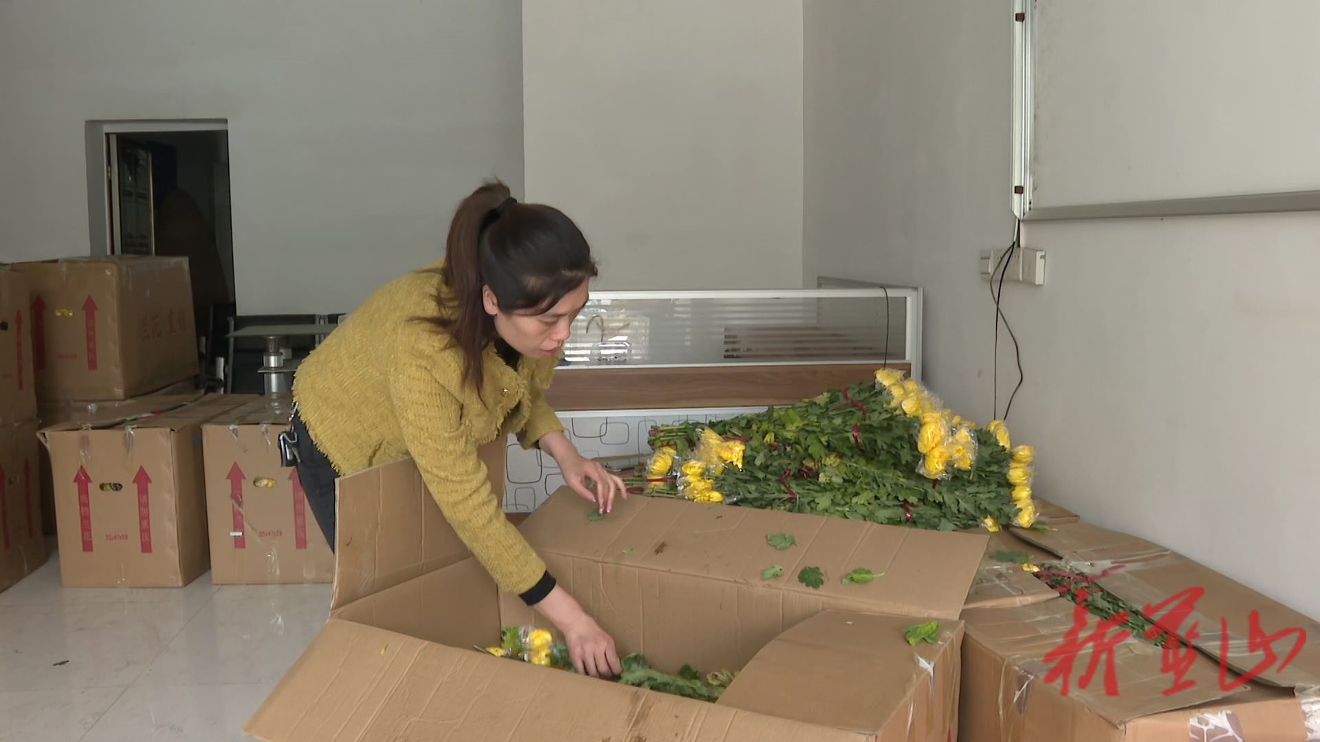 蓝山县民政局：鲜花寄哀思  文明过清明