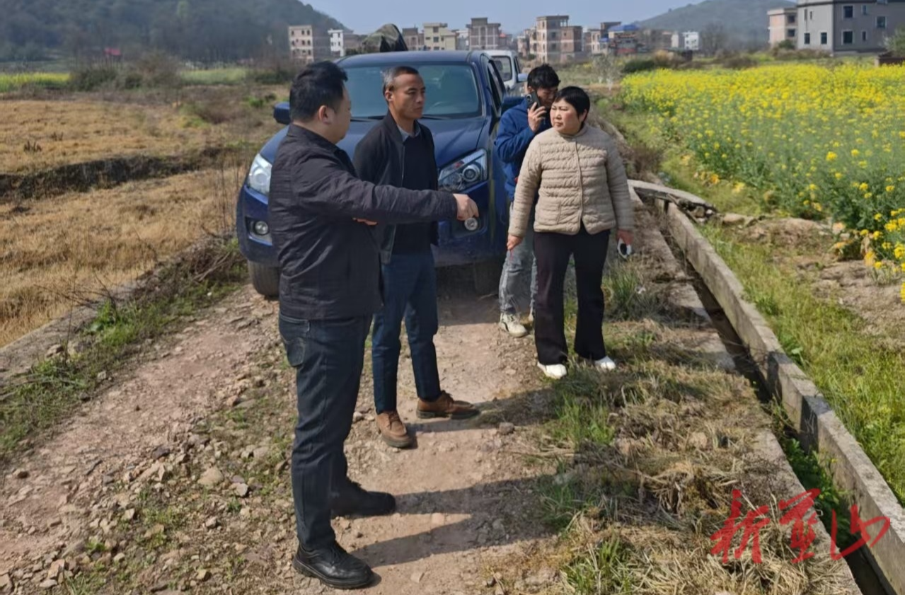 楠市镇甘溪村：谋定而后动 走好早稻先行步