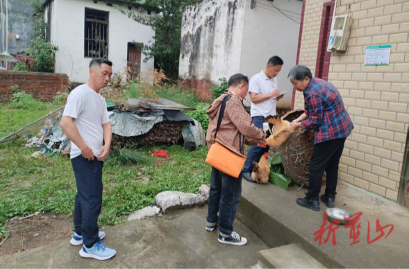 祠堂圩镇：筑牢春季防疫屏障 守护畜禽健康安全