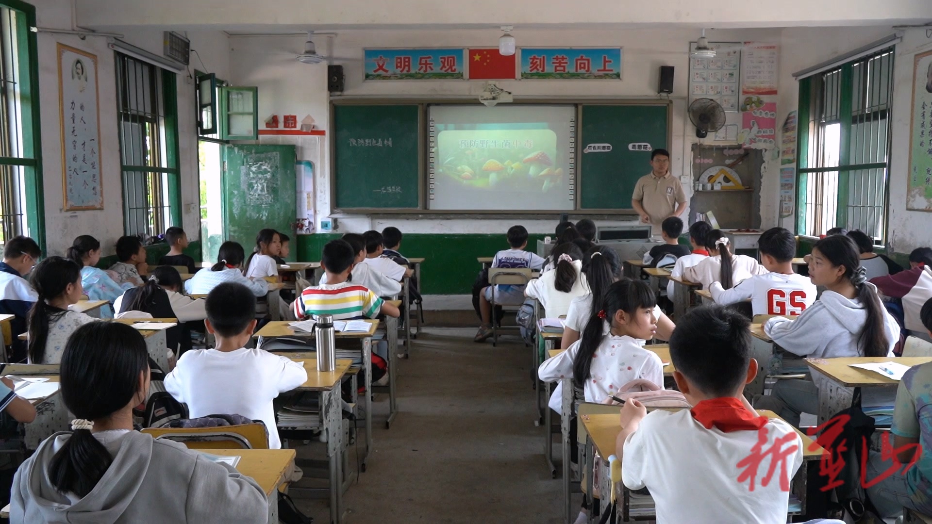 龙溪学校：毒菇警示进校园   撑起生命“保护伞”