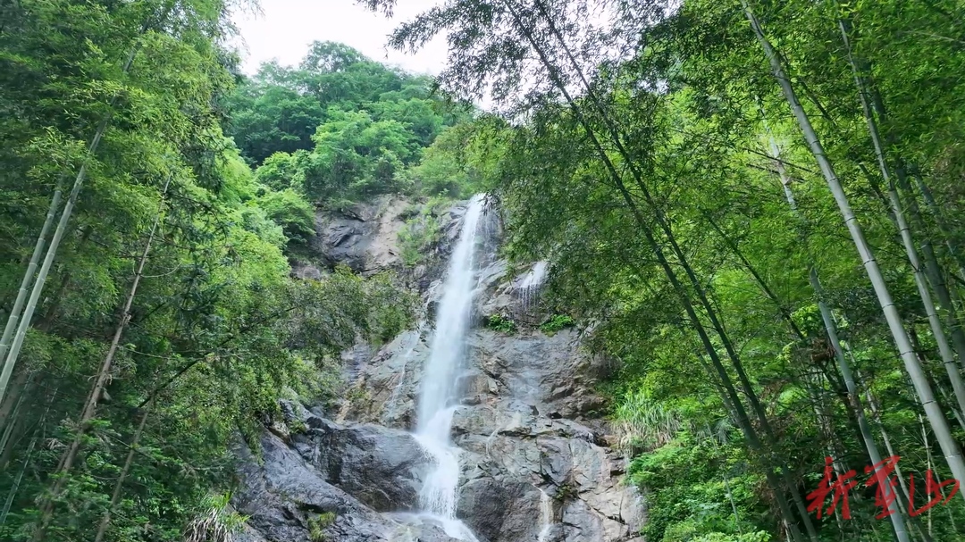 蓝山县果木冲瀑布：青山叠翠瀑声悠 夏日避暑享清凉