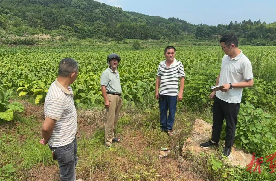 太平圩镇：暴雨过后查隐患 筑牢高标准农田“防护网”