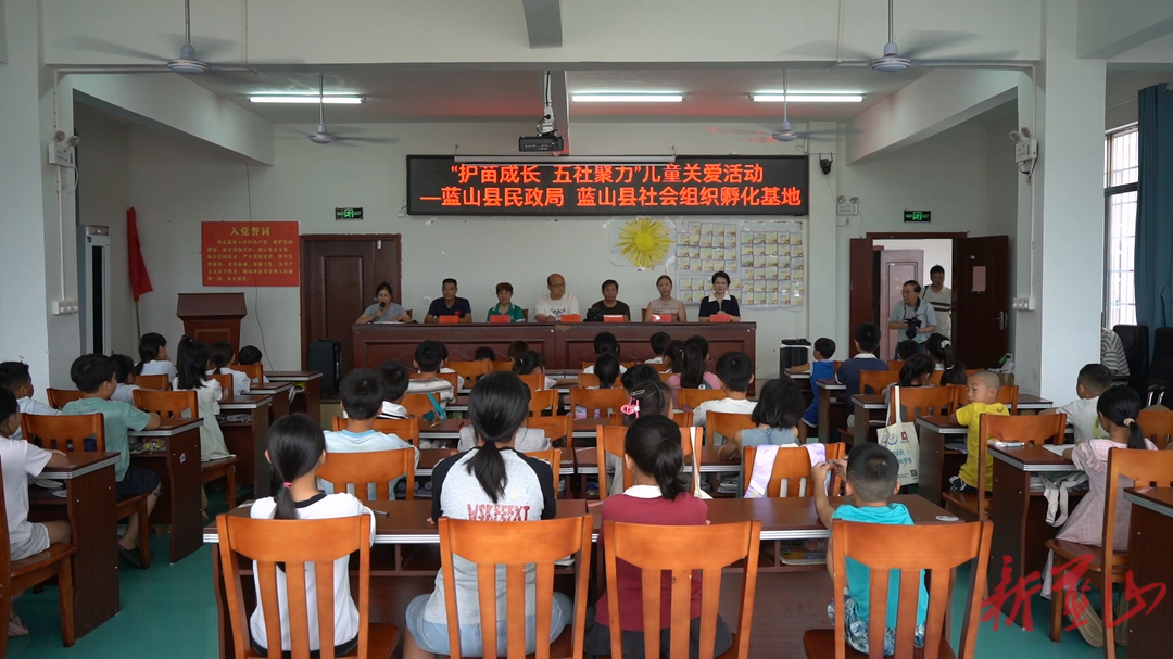蓝山县民政局：五社聚力护幼苗   缤纷活动暖暑期