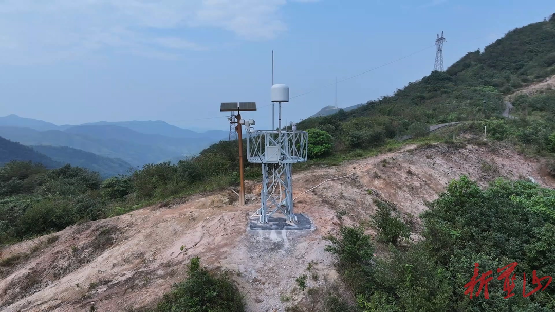 蓝山县科技赋能精准监测   守护候鸟南迁通道