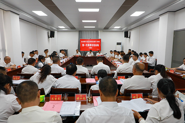 【聚焦两会】蓝山：曾艺到第一代表团(塔峰)参加讨论