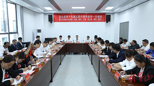 【聚焦两会】蓝山：曾艺到第六代表团(大桥、荆竹、汇源、湘江源、浆洞、犁头)参加讨论