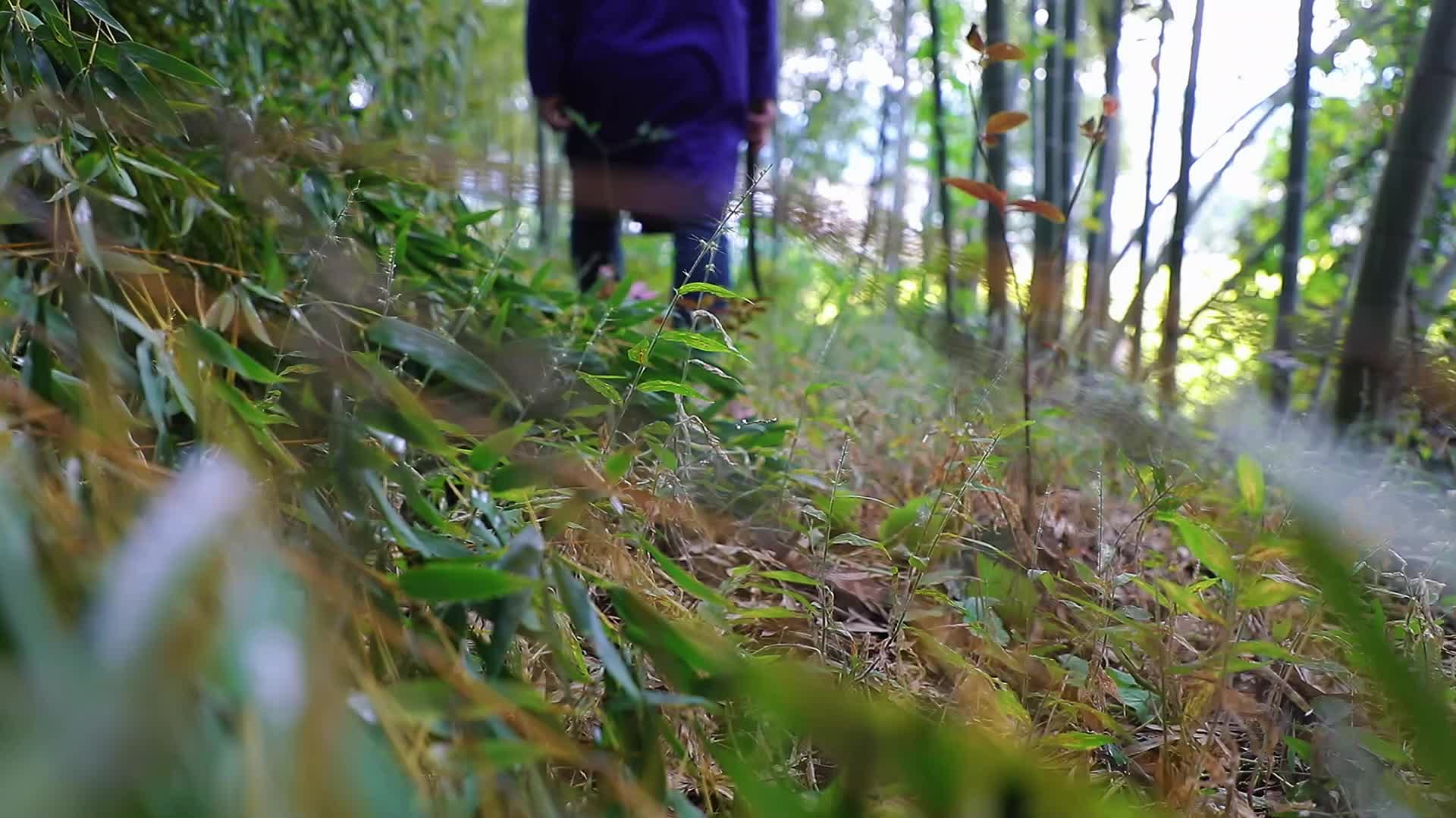 蓝山县：非物质文化遗产油纸伞“守艺人”