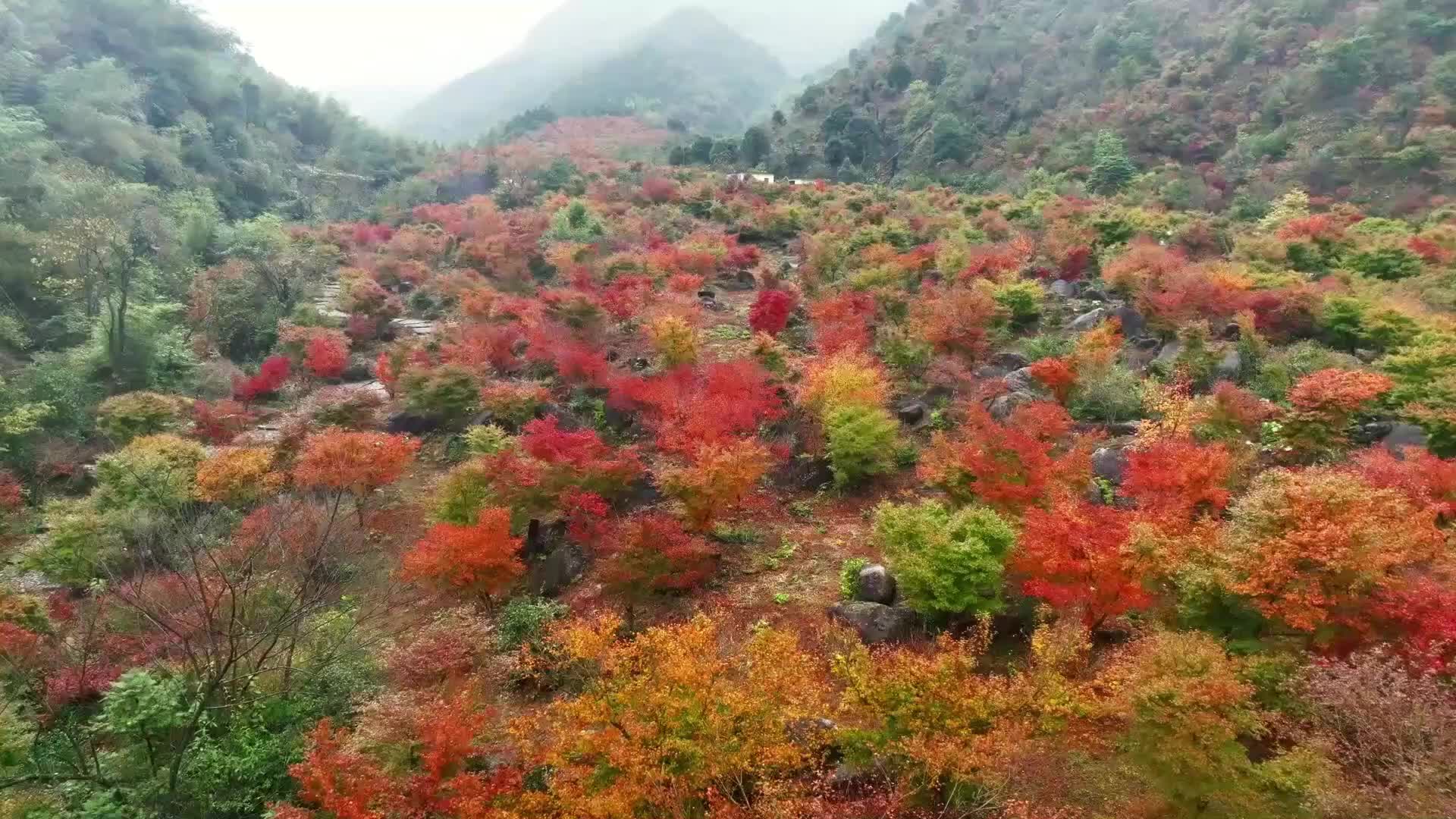 蓝山谷景区提质改造项目如火如荼建设
