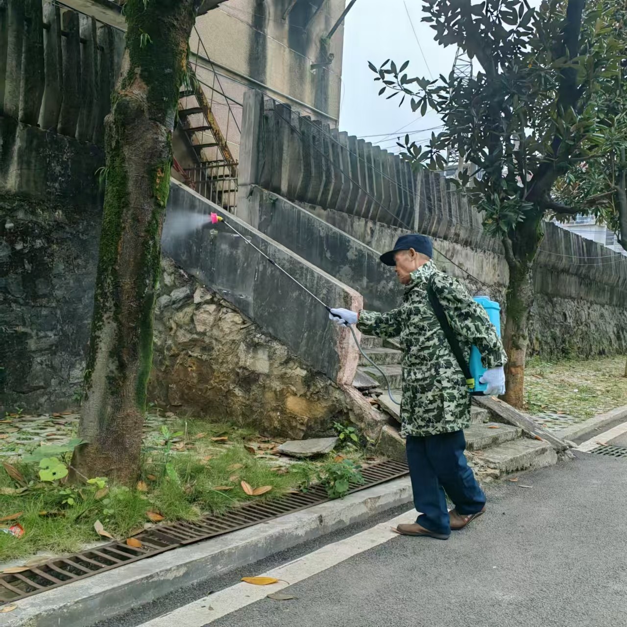 蓝山县水电公司：开展白蚁防治 消除安全隐患