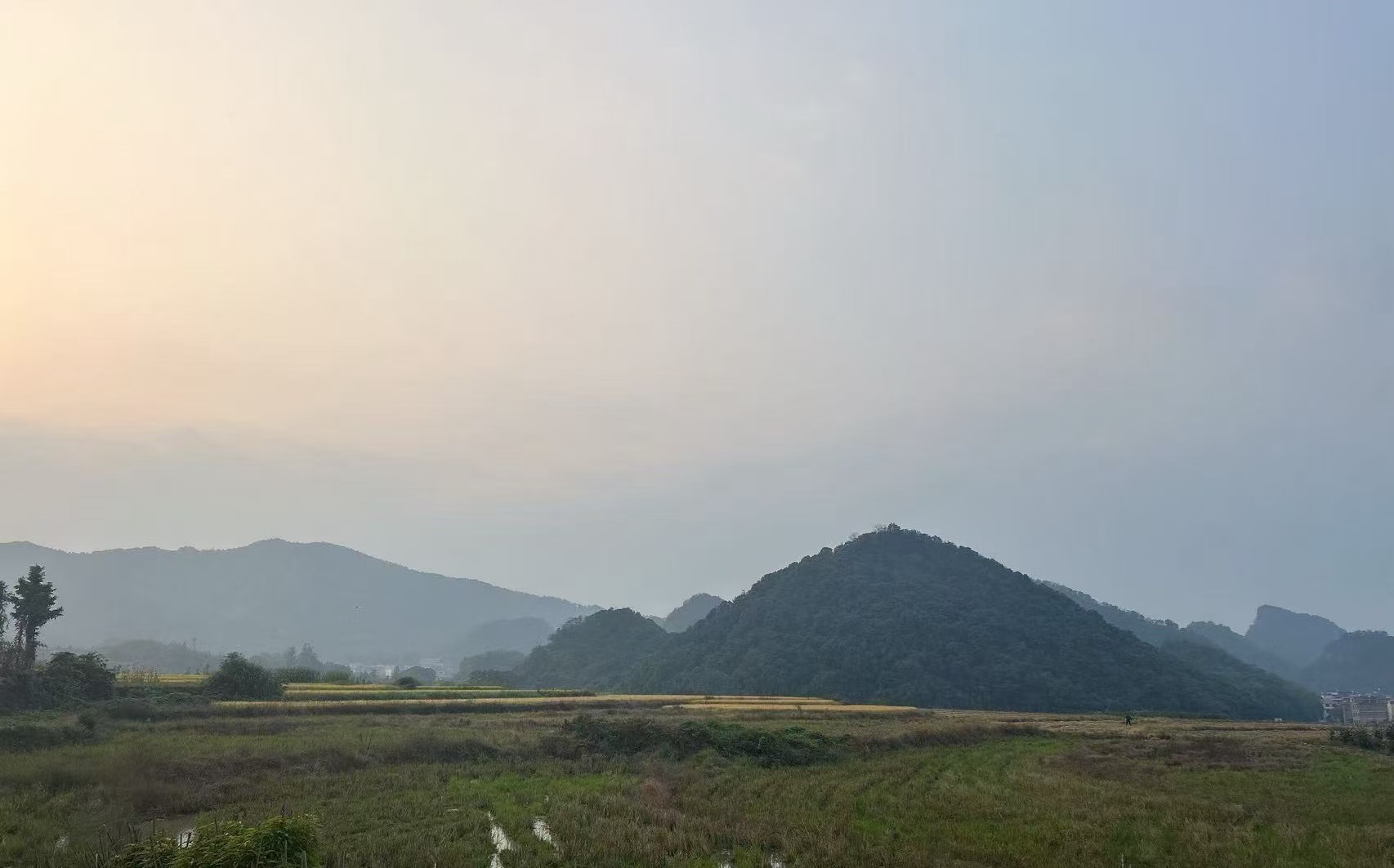 祠堂圩镇全力筑牢秋冬季秸秆禁烧“防火墙”