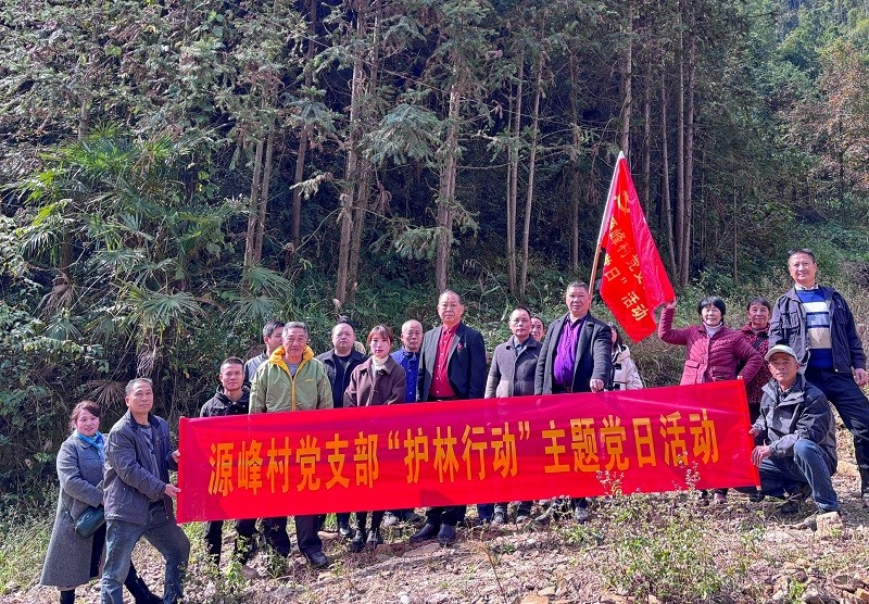 匯源瑤族鄉(xiāng)：主題黨日 “林” 距離 守護(hù)青山踐初心