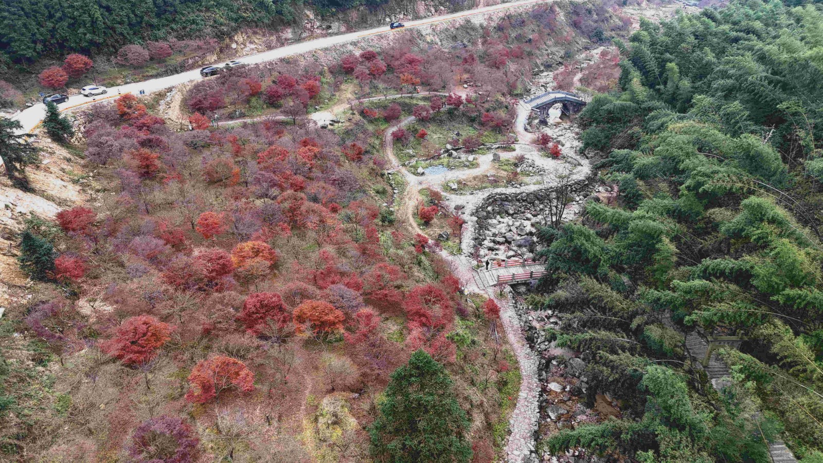 蓝山县这个村开启“景村融合”发展模式，村民端上“生态碗”、吃上“旅游饭”