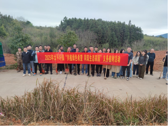 太平圩鎮(zhèn)開展“共植綠色希望 同筑生態(tài)家園”公益植樹活動