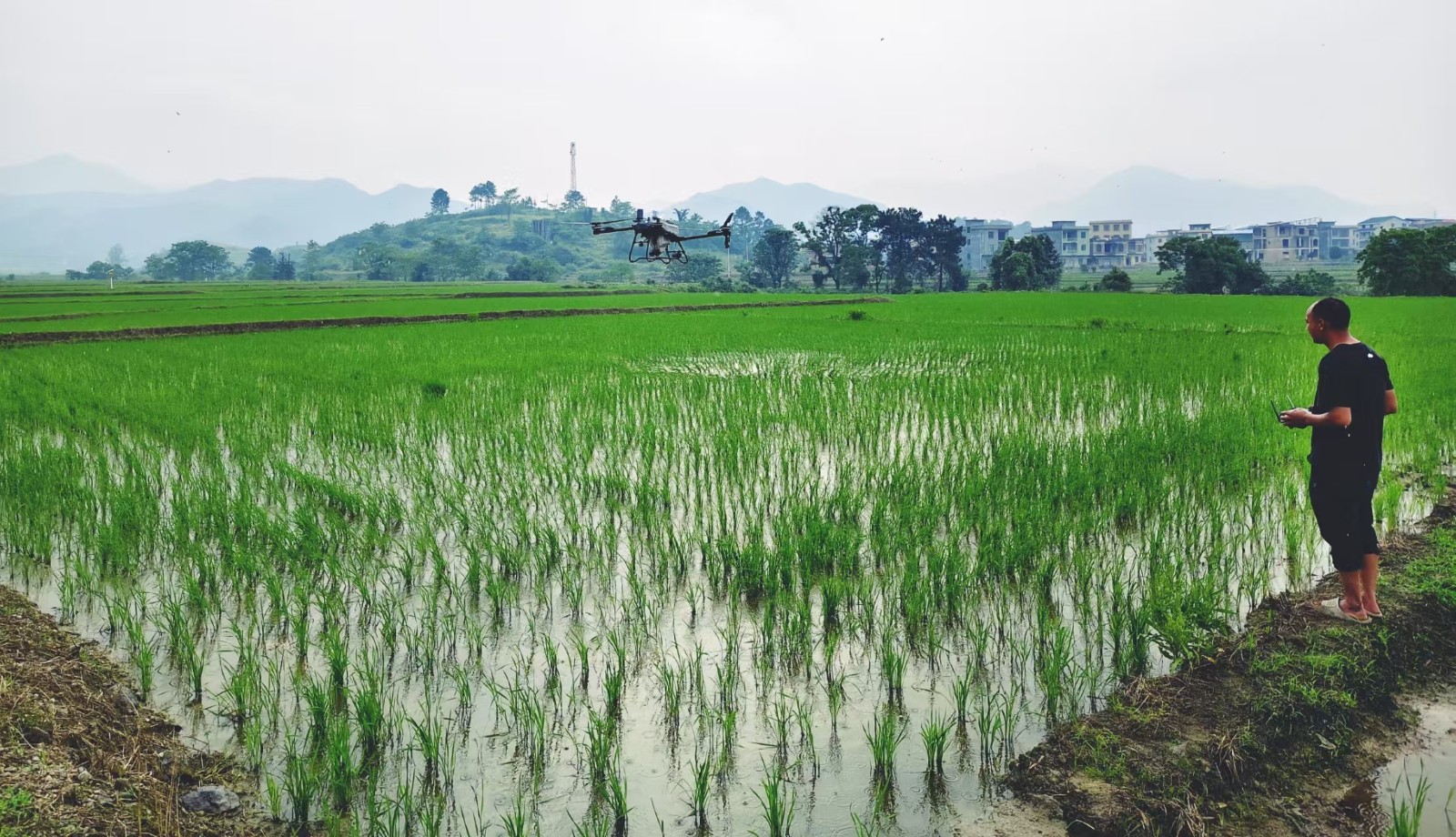 蓝山县：植保无人机“飞防”赋能农业提质增效