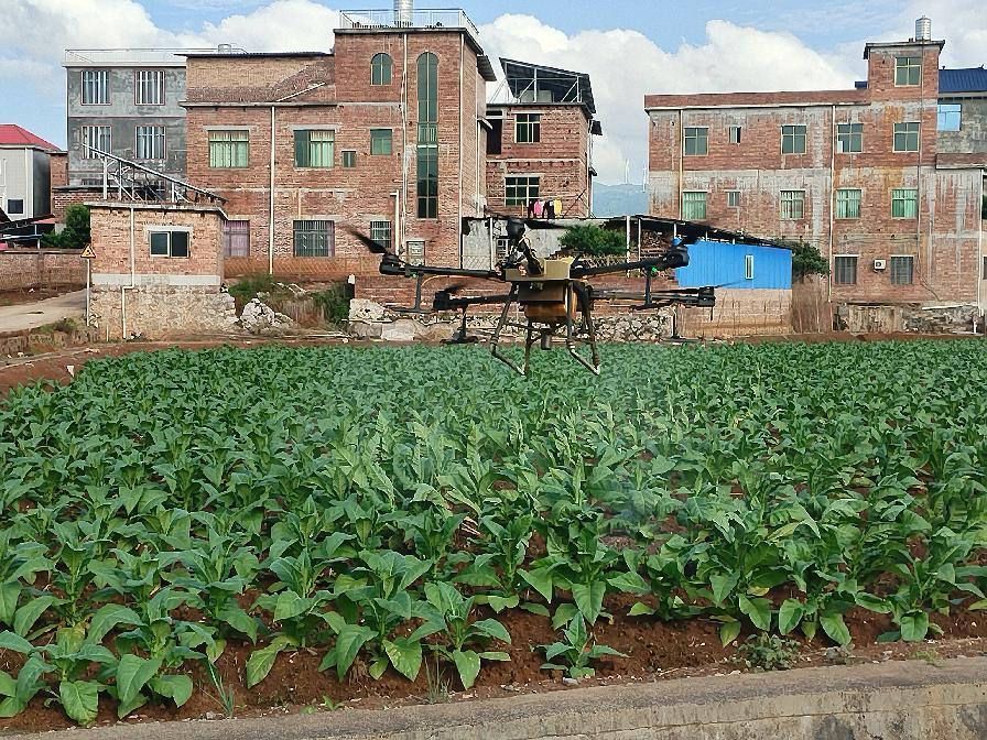 土市镇：无人机助力烤烟除虫 科技赋能绘就智慧农业新图景